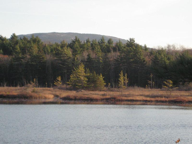 Bar Harbor 09 055