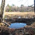 Bar Harbor 09 041