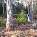 Bar Harbor 09 042