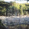Bar Harbor 09 048