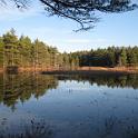 Bar Harbor 09 049