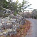 Bar Harbor 09 060