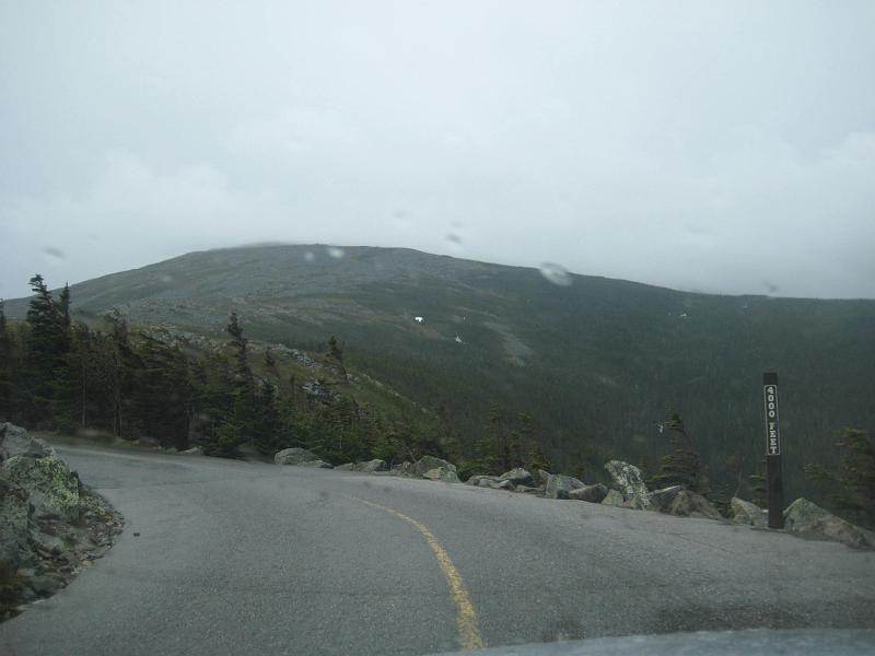 Picture 237