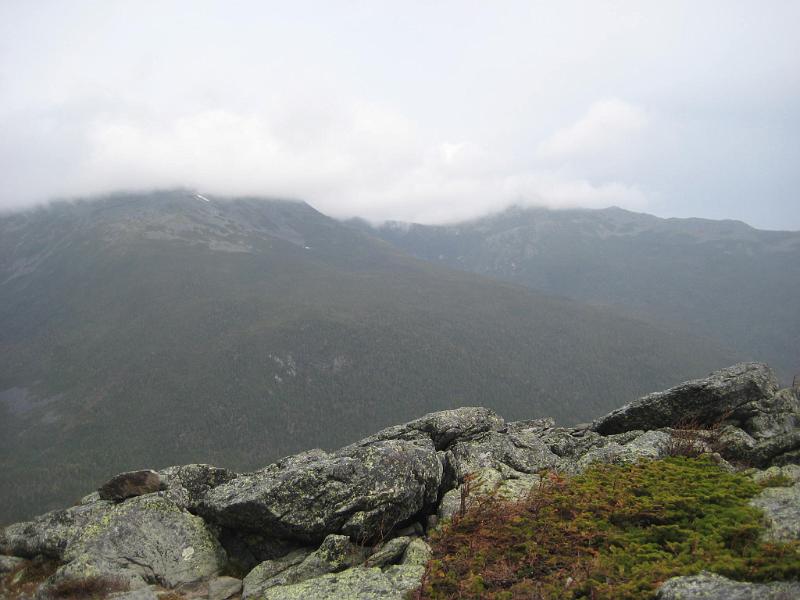 Picture 238
