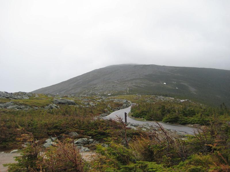 Picture 239