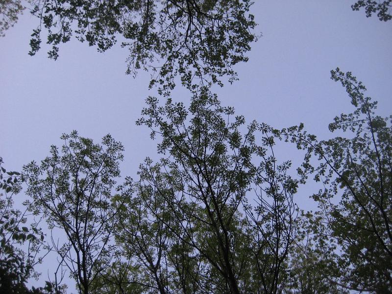 Picture 366