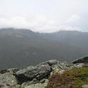 Picture 238