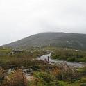 Picture 239