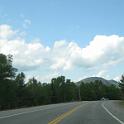 Picture 335