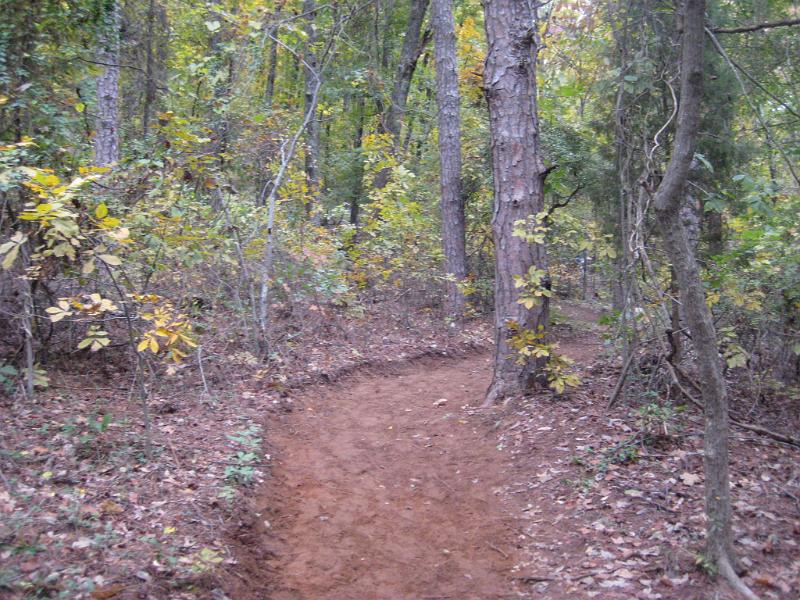 KSU102409 006