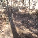 14Nov09 015