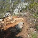 IMG_2515