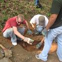 Kennesaw 09 033