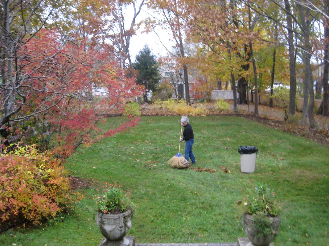 06Nov10 045