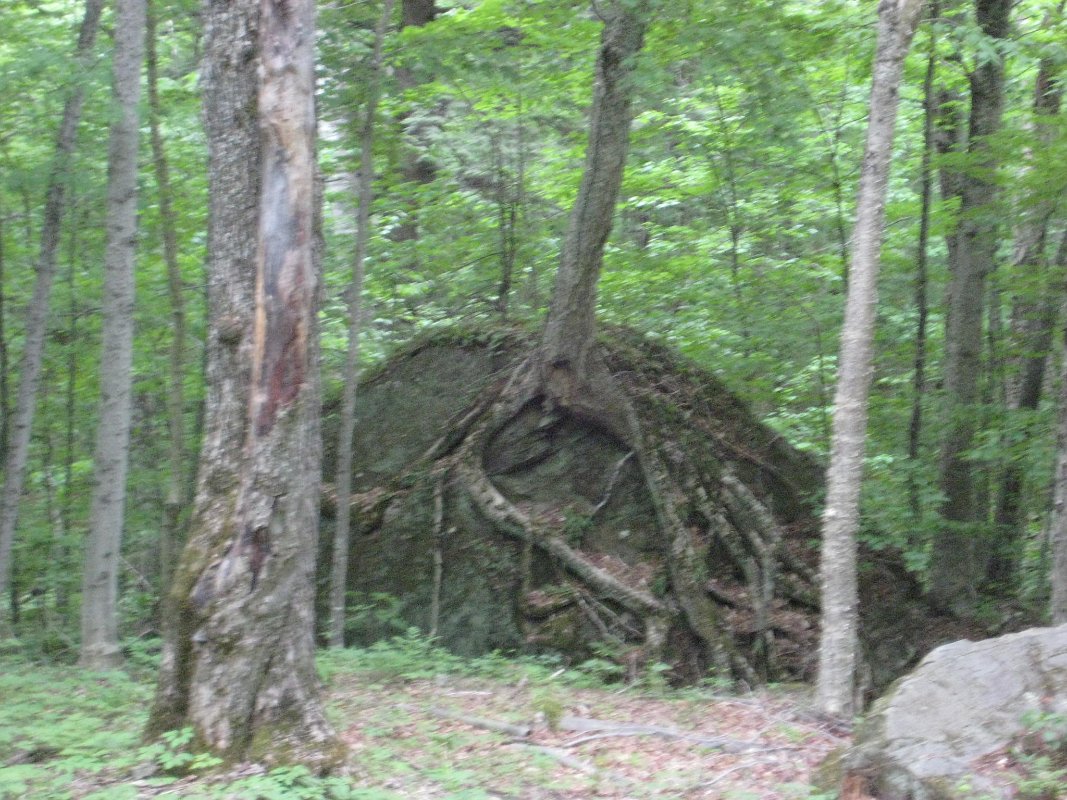 31May10 062