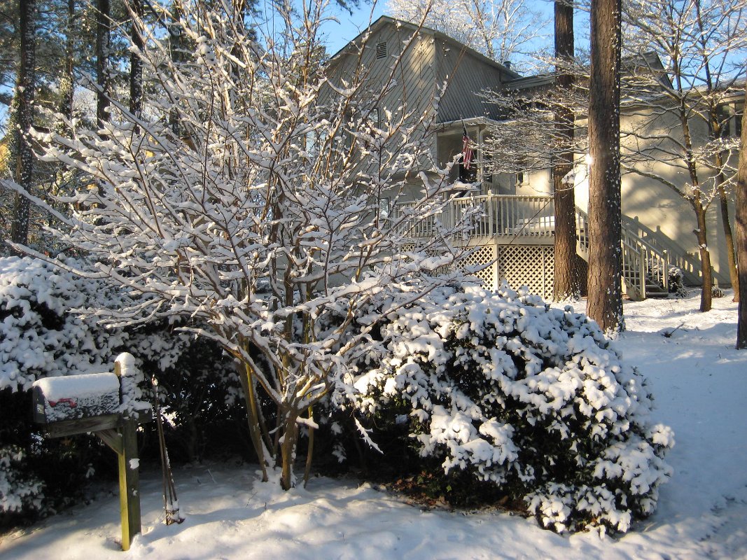 13Feb10 006