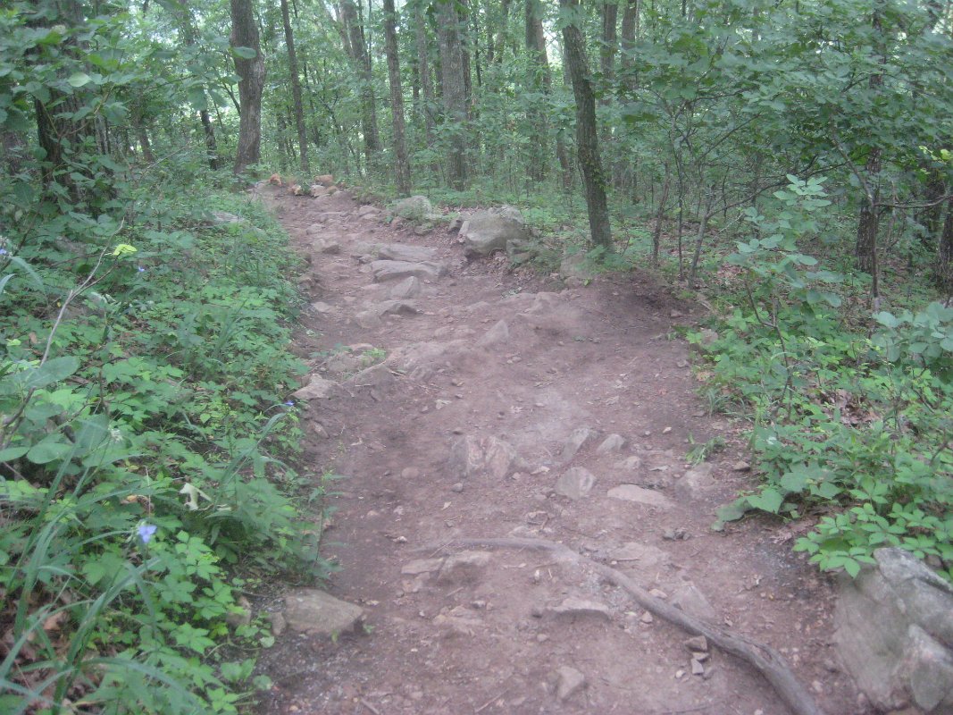 06Jun10 023
