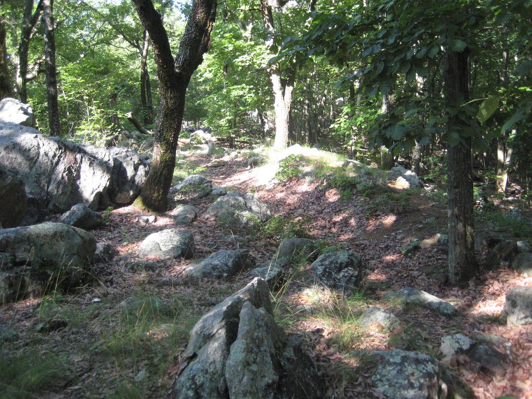 23May14 007