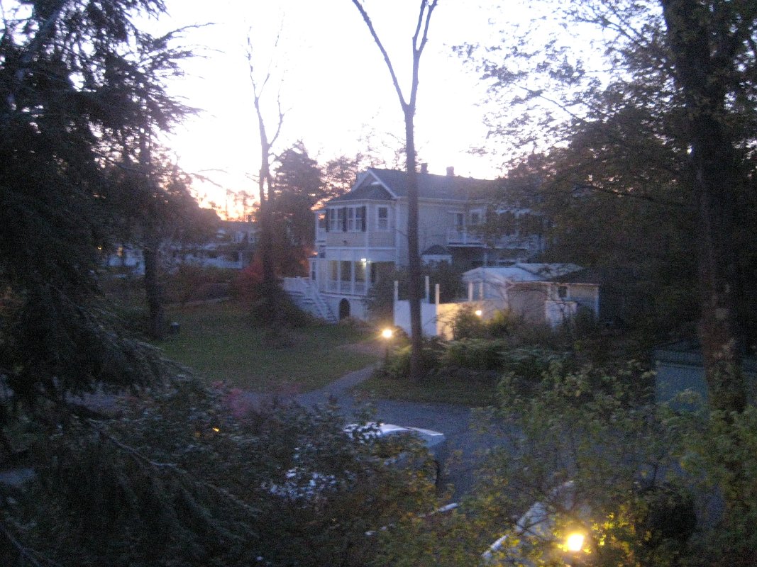 03Nov11 038