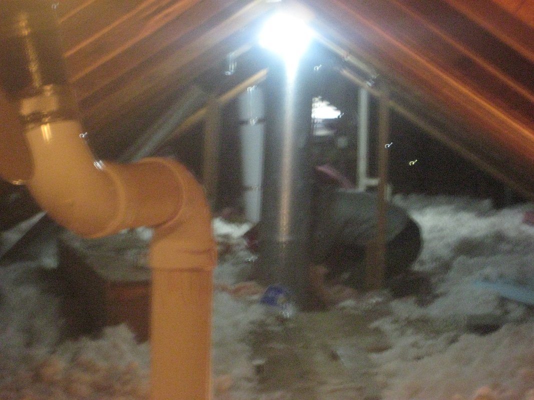 03Nov11 067