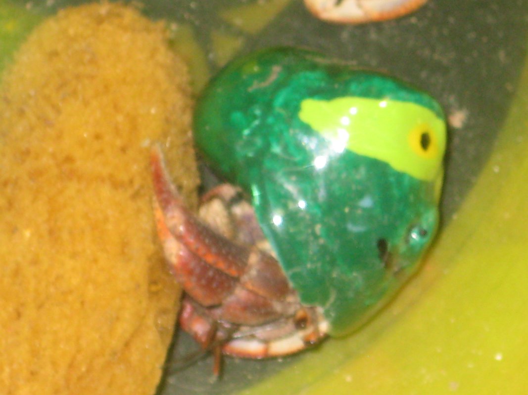 19Jun11 035