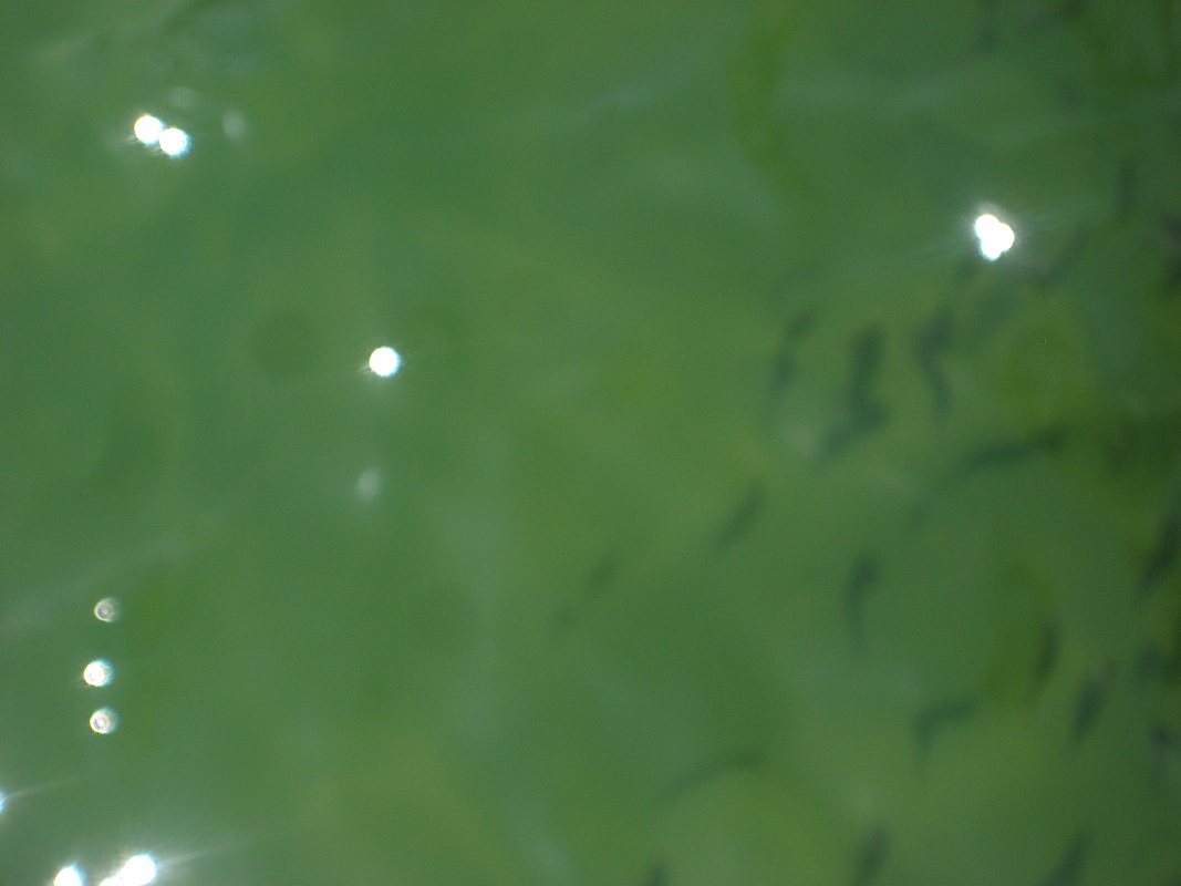 19Jun11 042