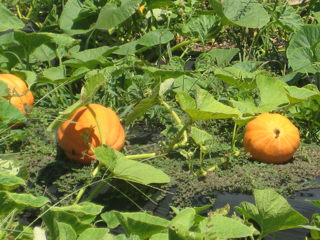 27Aug11 019