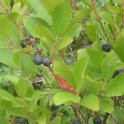 IMG_0759
