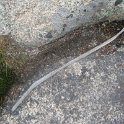 IMG_0760