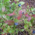 IMG_0762