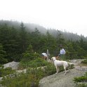 IMG_0771