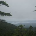 IMG_0772