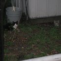 IMG_0789