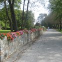 IMG_0794