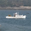 IMG_0802
