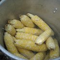 IMG_0825