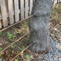 IMG_0829