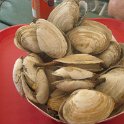 IMG_0878