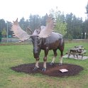 IMG_0880