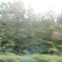 IMG_0884