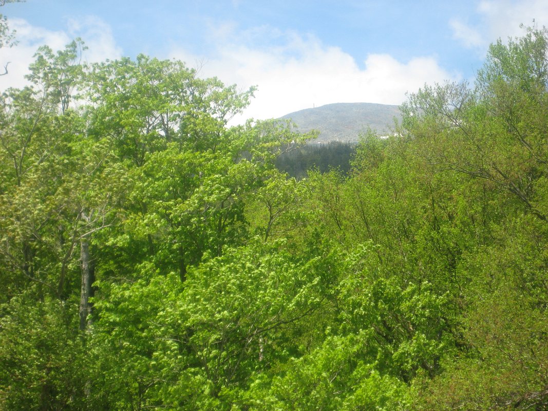 30May11 173