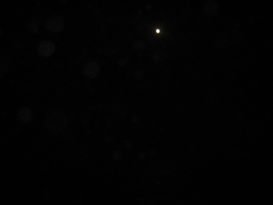 10Nov11 003
