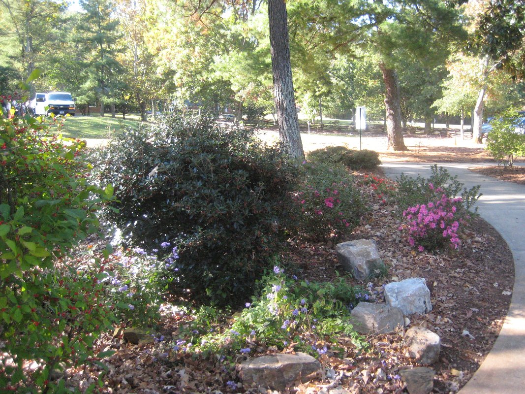 16Oct11 005