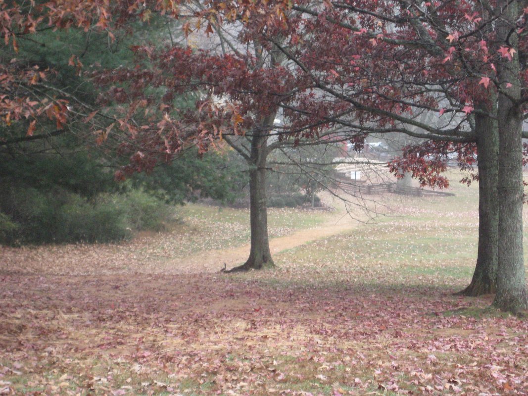 20Nov11 003