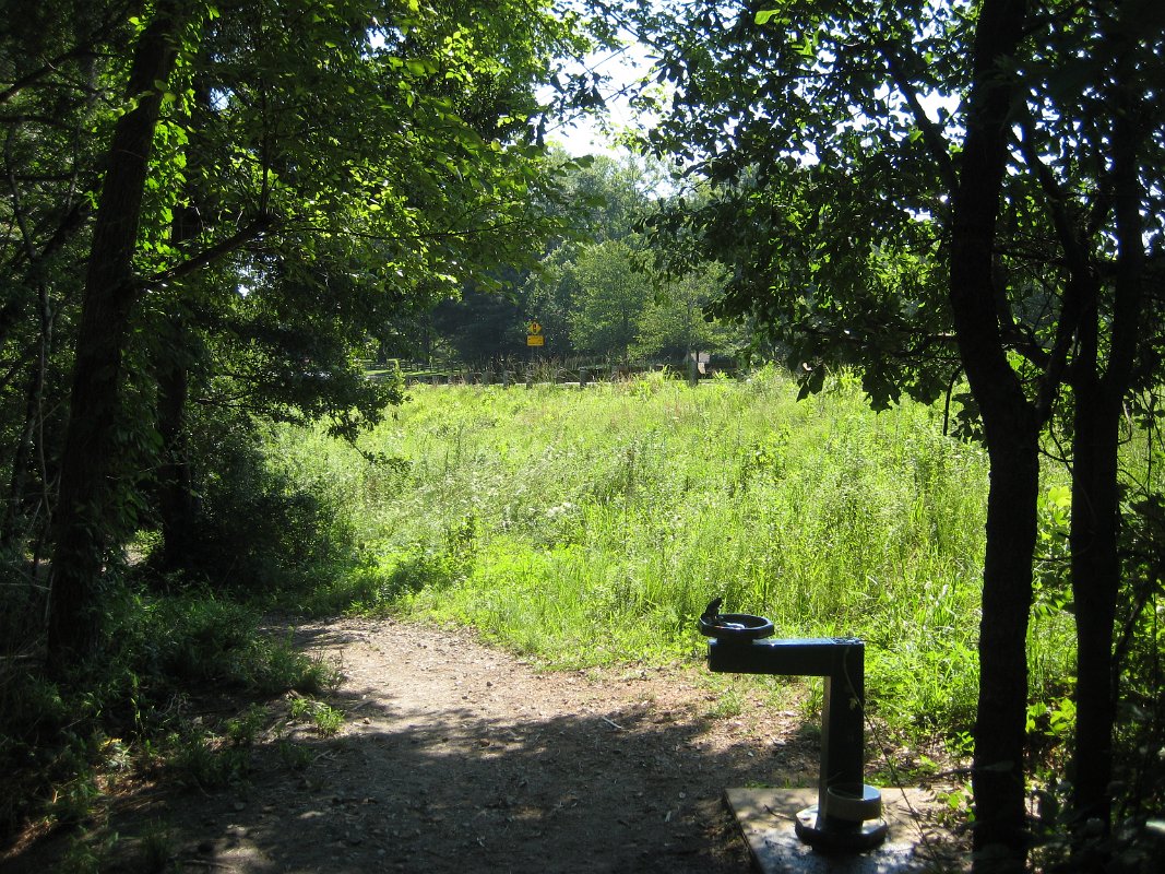 25Jun11 005