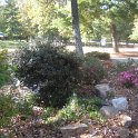 16Oct11 005