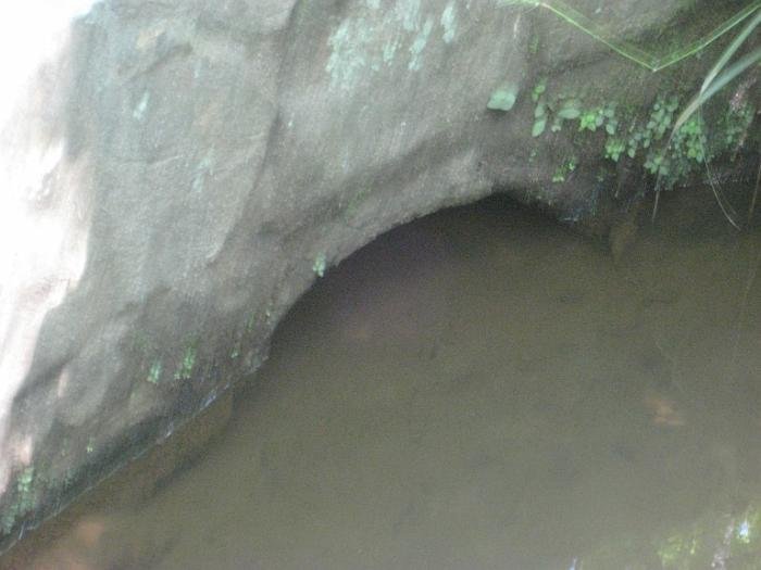 16Jun12 004