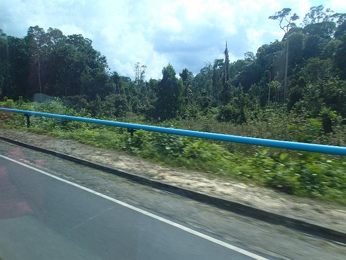 P3010101