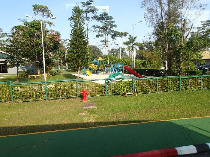 P3050384
