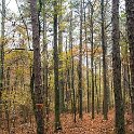 _DSC0032